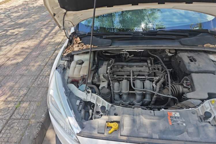 Used Ford Focus 2018 Hatchback Classic 1.6L Automatic Comfort Plus SmartDrive Edition Engine Bay Right