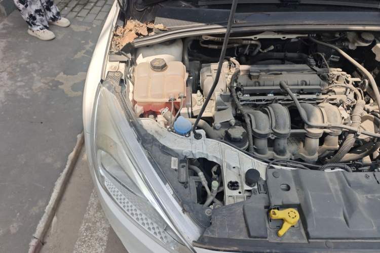 Used Ford Focus 2018 Hatchback Classic 1.6L Automatic Comfort Plus SmartDrive Edition Engine Bay Right