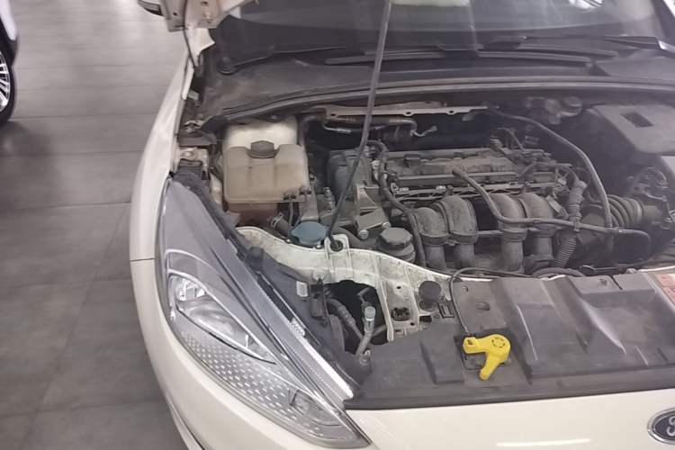 Used Ford Focus 2018 Hatchback Classic 1.6L Automatic Trendy SmartDrive Edition Engine Bay Right