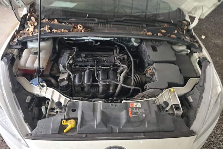 Used Ford Focus 2018 Sedan Classic 1.6L Automatic Trendy SmartDrive Edition Engine Bay