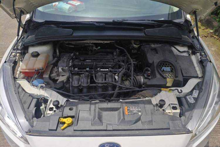 Used Ford Focus 2018 Hatchback Classic 1.6L Automatic Comfort Plus SmartDrive Edition Engine Bay