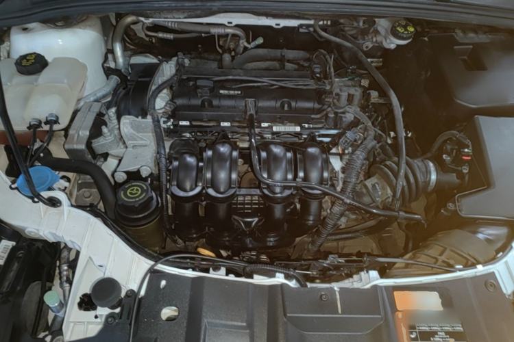 Used Ford Focus 2018 Hatchback Classic 1.6L Automatic Trendy SmartDrive Edition Engine Bay