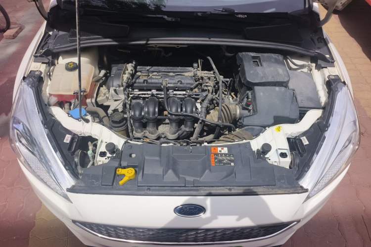 Used Ford Focus 2018 Hatchback Classic 1.6L Automatic Trendy SmartDrive Edition Engine Bay