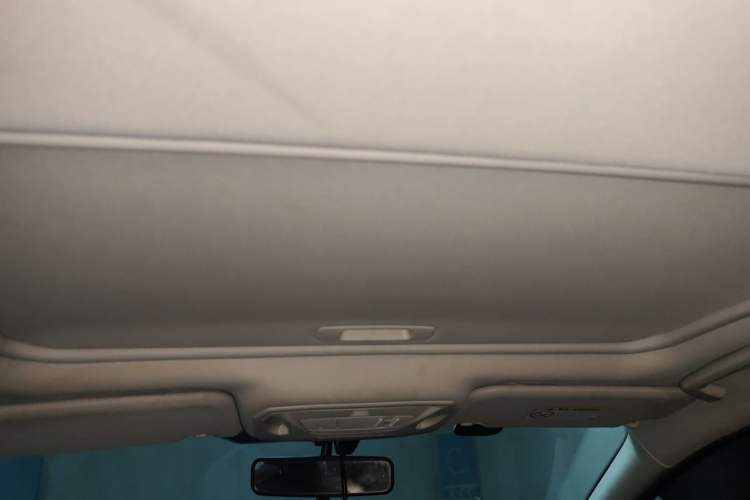 Used Ford Focus 2018 Sedan Classic 1.6L Automatic Trendy SmartDrive Edition Headliner