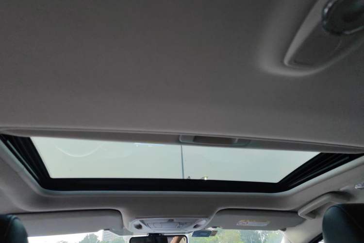 Used Ford Focus 2018 Hatchback Classic 1.6L Automatic Trendy SmartDrive Edition Headliner