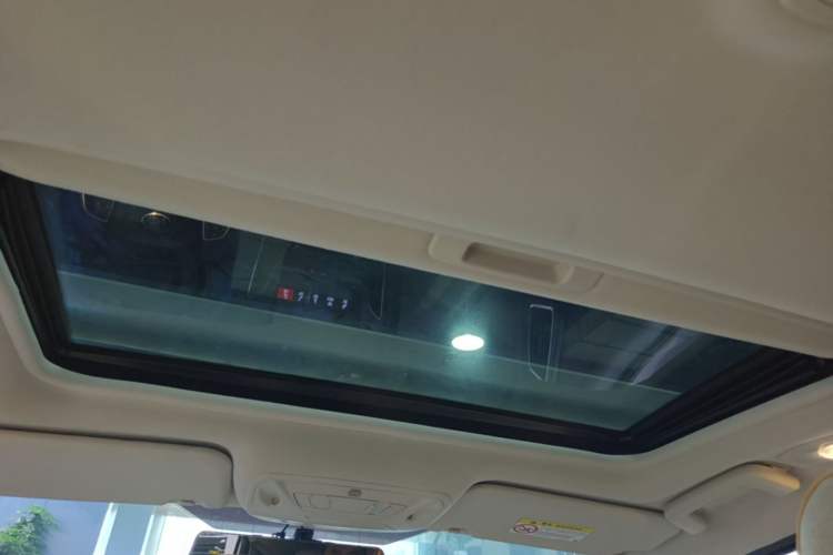 Used Ford Focus 2018 Hatchback Classic 1.6L Automatic Trendy SmartDrive Edition Headliner