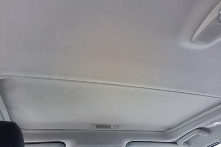 Used Ford Focus 2018 Sedan Classic 1.6L Automatic Trendy SmartDrive Edition Headliner