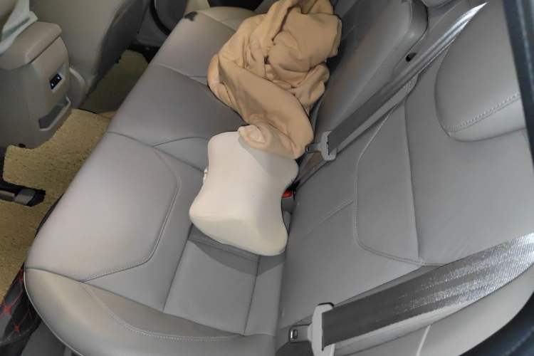 Used Ford Focus 2018 Sedan Classic EcoBoost 180 Automatic Flagship Model Left Rear Seat