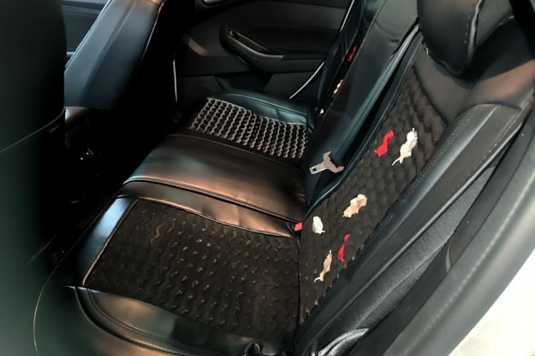 Used Ford Focus 2018 Hatchback Classic 1.6L Automatic Comfort Plus SmartDrive Edition Left Rear Seat