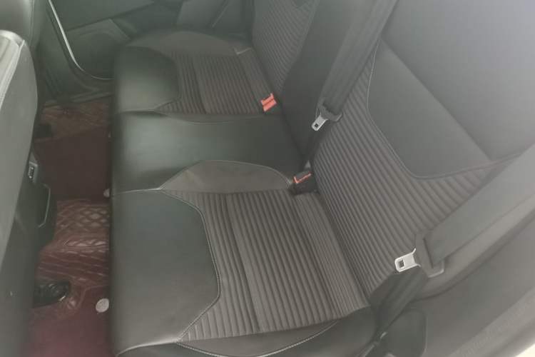Used Ford Focus 2018 Hatchback Classic 1.6L Automatic Comfort Plus SmartDrive Edition Left Rear Seat