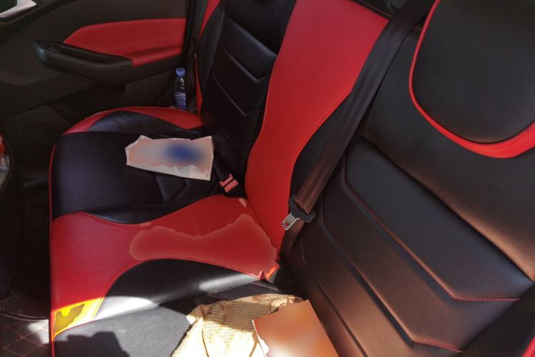 Used Ford Focus 2018 Hatchback Classic 1.6L Automatic Comfort Plus SmartDrive Edition Left Rear Seat