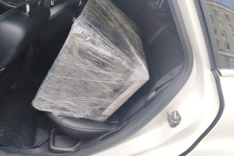 Used Ford Focus 2018 Hatchback Classic 1.6L Automatic Comfort Plus SmartDrive Edition Left Rear Seat