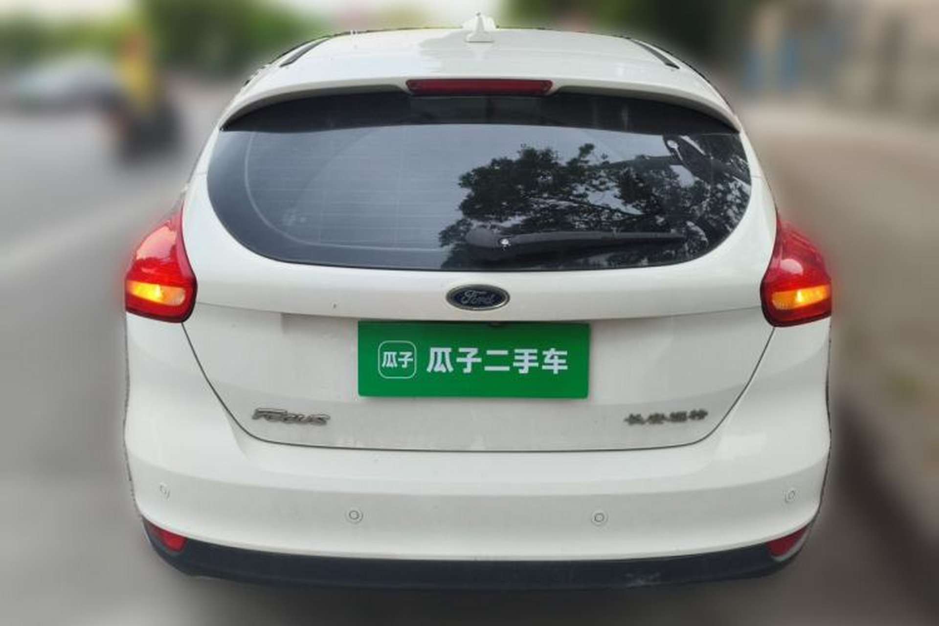 Used Ford Focus 2018 Hatchback Classic 1.6L Automatic Trendy SmartDrive Edition Rear
