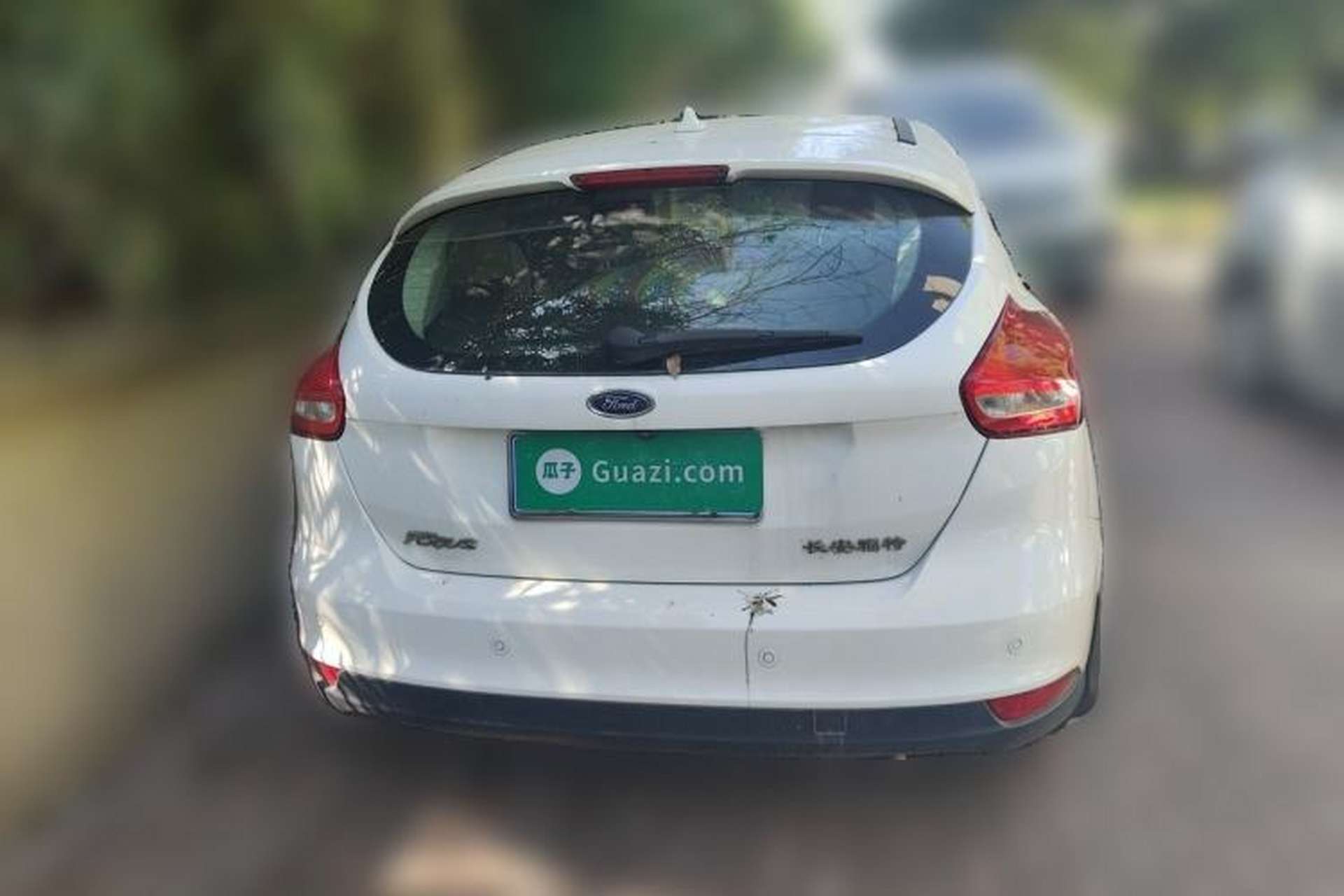 Used Ford Focus 2018 Hatchback Classic 1.6L Automatic Trendy SmartDrive Edition Rear