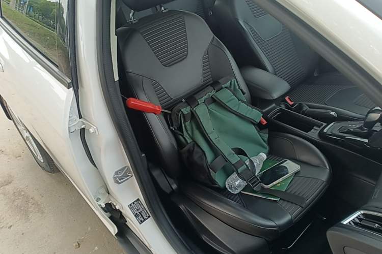 Used Ford Focus 2018 Hatchback Classic 1.6L Automatic Trendy SmartDrive Edition Right Front Seat