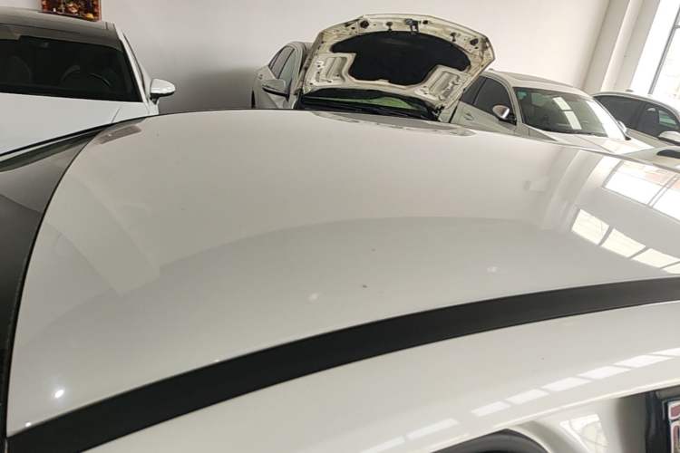 Used Ford Focus 2018 Hatchback Classic 1.6L Automatic Comfort Plus SmartDrive Edition Roof