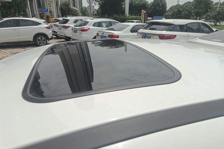 Used Ford Focus 2018 Sedan Classic 1.6L Automatic Trendy SmartDrive Edition Roof