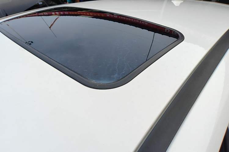 Used Ford Focus 2018 Hatchback Classic 1.6L Automatic Trendy SmartDrive Edition Roof