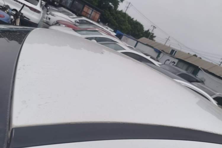 Used Ford Focus 2018 Hatchback Classic 1.6L Manual Comfort Plus SmartDrive Edition Roof