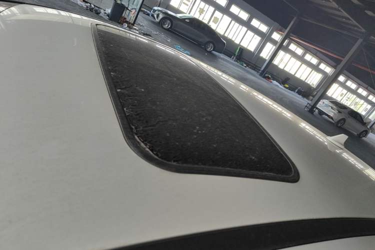 Used Ford Focus 2018 Hatchback Classic 1.6L Automatic Trendy SmartDrive Edition Roof