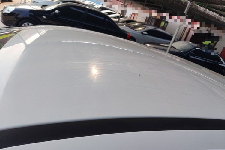 Used Ford Focus 2018 Hatchback Classic 1.6L Automatic Comfort Plus SmartDrive Edition Roof