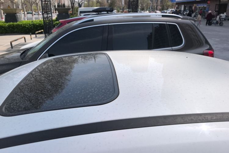Used Ford Focus 2018 Sedan Classic 1.6L Automatic Trendy SmartDrive Edition Roof