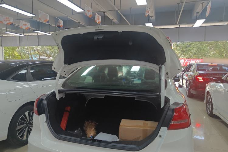 Used Ford Focus 2018 Sedan Classic 1.6L Automatic Trendy SmartDrive Edition Trunk