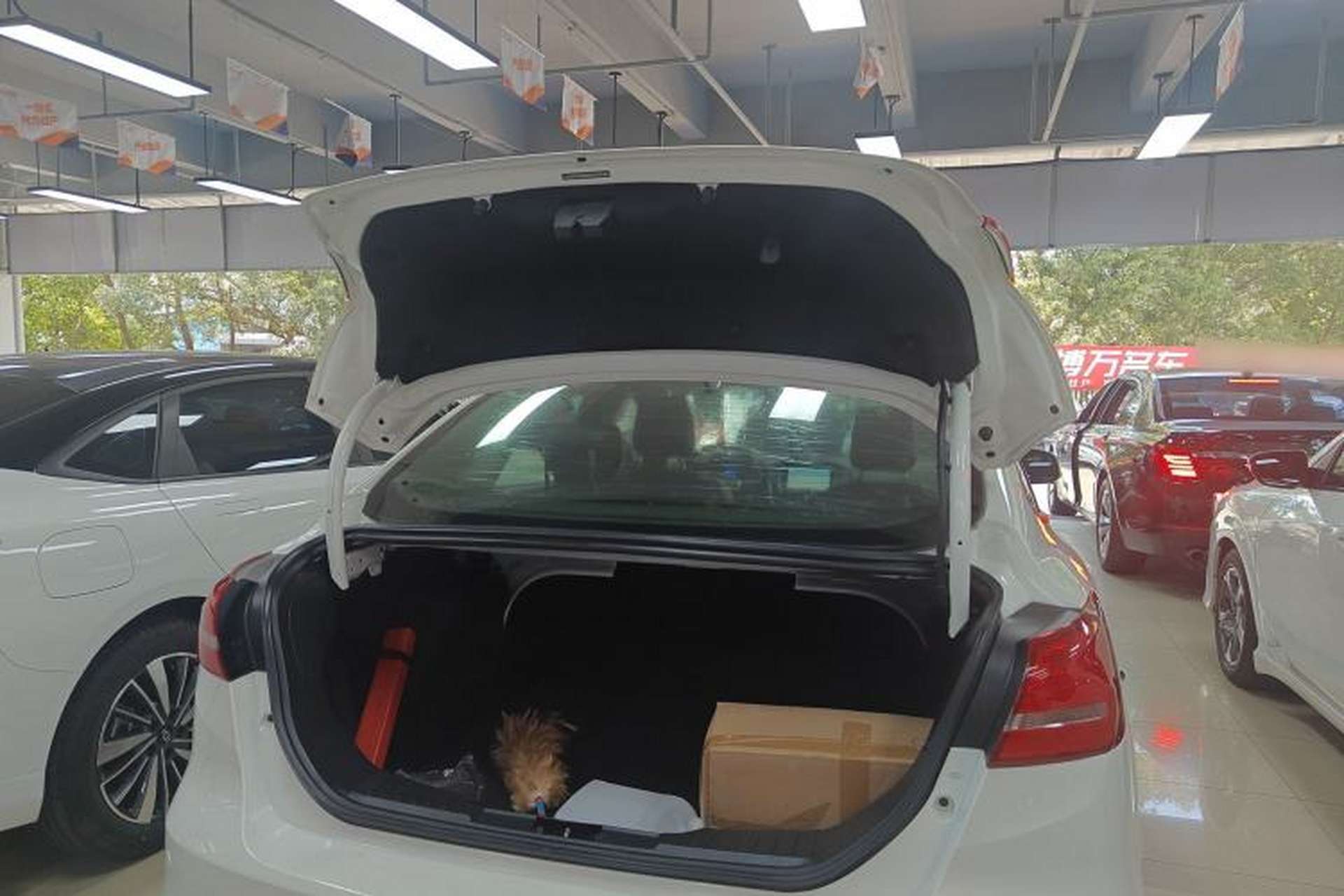 Used Ford Focus 2018 Sedan Classic 1.6L Automatic Trendy SmartDrive Edition Trunk