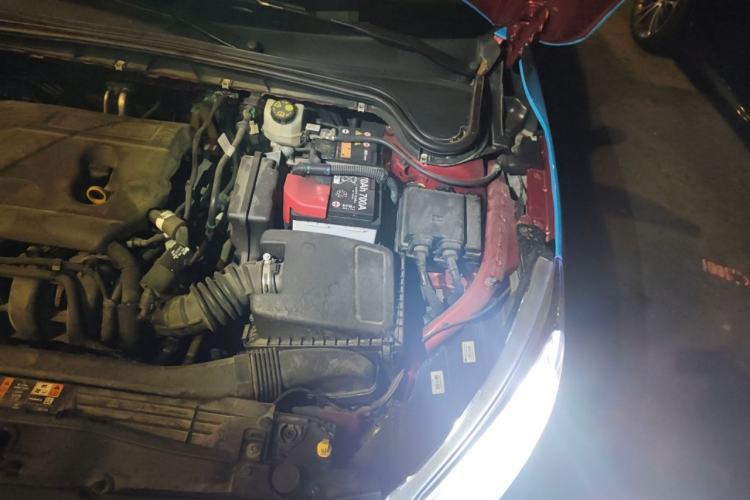 Used Ford Focus 2019 Hatchback 1.5L Manual FENGYUE Model China V Standard Engine Bay Left