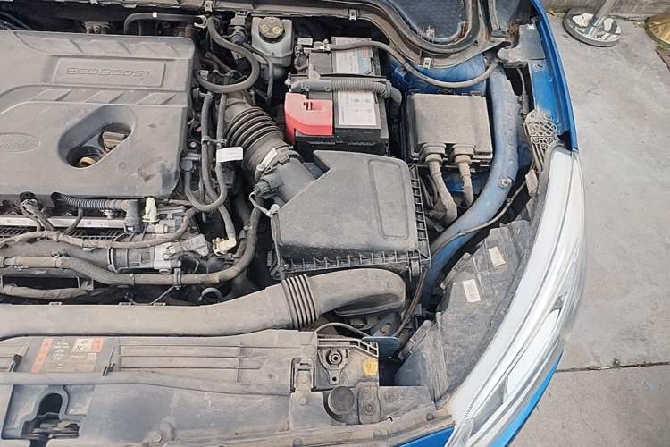 Used Ford Focus 2019 Hatchback EcoBoost 180 Automatic Trendy Model Engine Bay Left
