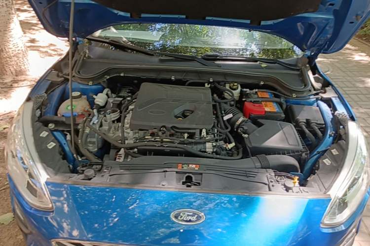 Used Ford Focus 2019 Hatchback EcoBoost 180 Automatic Trendy Model Engine Bay