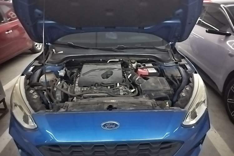 Used Ford Focus 2019 Hatchback EcoBoost 180 Automatic Trendy Model Engine Bay
