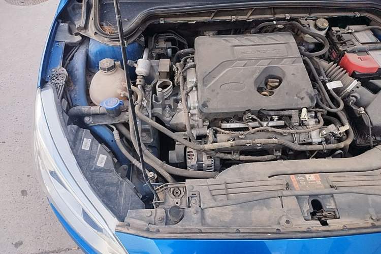 Used Ford Focus 2019 Hatchback EcoBoost 180 Automatic Trendy Model Engine Bay Right