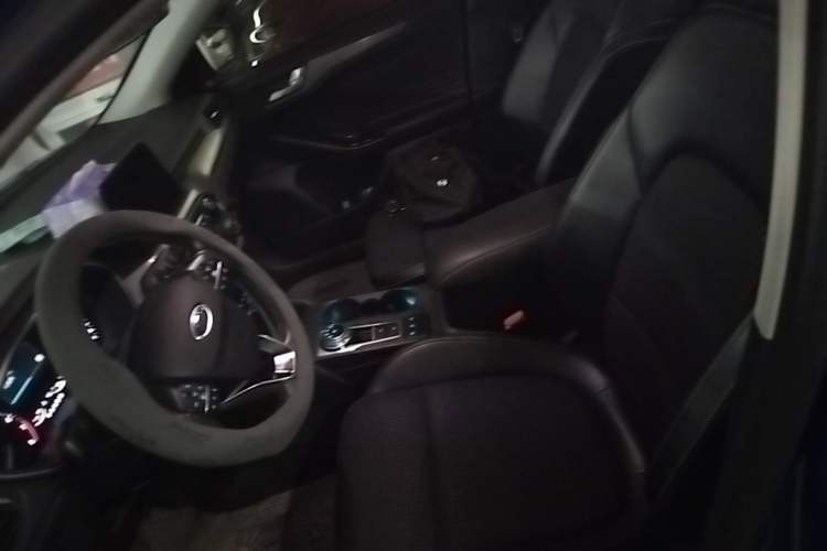 Used Ford Focus 2019 Hatchback EcoBoost 180 Automatic Trendy Model Left Front Seat