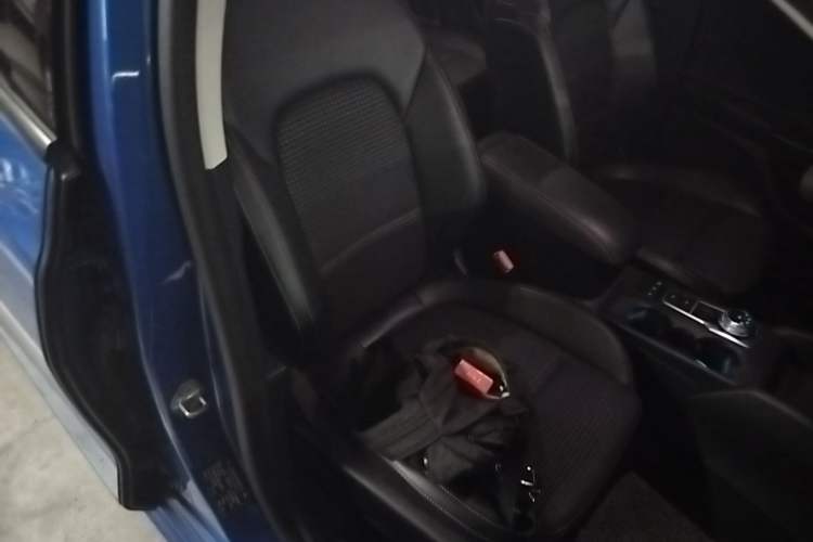 Used Ford Focus 2019 Hatchback EcoBoost 180 Automatic Trendy Model Right Front Seat