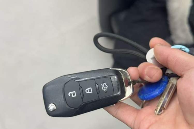 Used Ford Focus 2019 Hatchback 1.5L Manual FENGYUE Model China V Standard Vehicle Key
