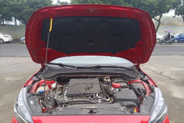 Used Ford Focus 2019 Hatchback EcoBoost 180 Automatic ST Line Engine Bay