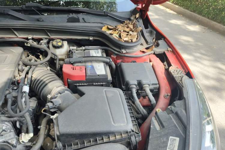 Used Ford Focus 2019 Sedan EcoBoost 180 Automatic ST Line Engine Bay Left