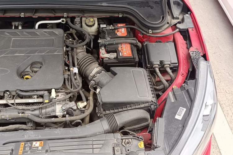 Used Ford Focus 2019 Hatchback EcoBoost 180 Automatic ST Line Engine Bay Left
