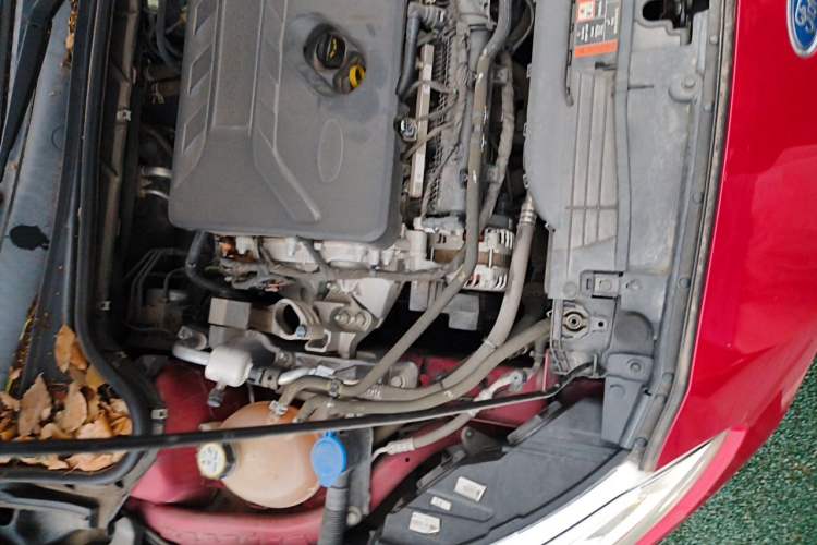 Used Ford Focus 2019 Hatchback EcoBoost 180 Automatic Trendy Model Engine Bay Right