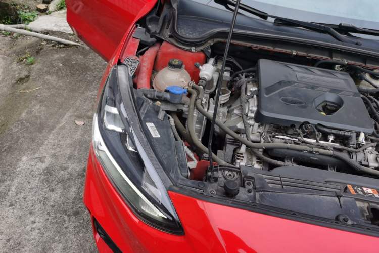 Used Ford Focus 2019 Sedan EcoBoost 180 Automatic ST Line Engine Bay Right