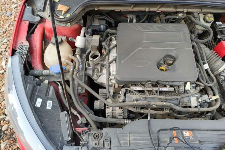 Used Ford Focus 2019 Sedan EcoBoost 180 Automatic ST Line Engine Bay Right