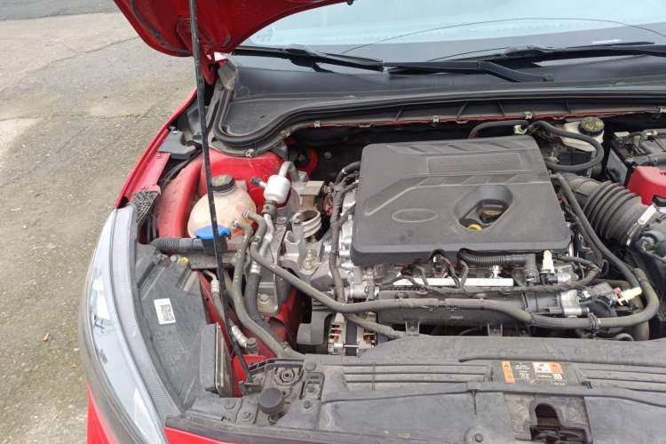 Used Ford Focus 2019 Hatchback EcoBoost 180 Automatic ST Line Engine Bay Right