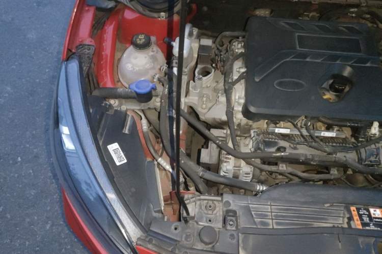 Used Ford Focus 2019 Hatchback EcoBoost 180 Automatic ST Line Engine Bay Right