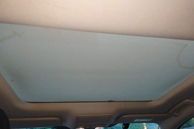 Used Ford Focus 2019 Hatchback EcoBoost 180 Automatic Trendy Model Headliner
