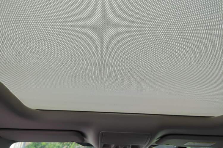 Used Ford Focus 2019 Sedan EcoBoost 180 Automatic Trend Edition Headliner