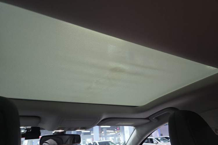 Used Ford Focus 2019 Sedan EcoBoost 180 Automatic Trend Edition Headliner