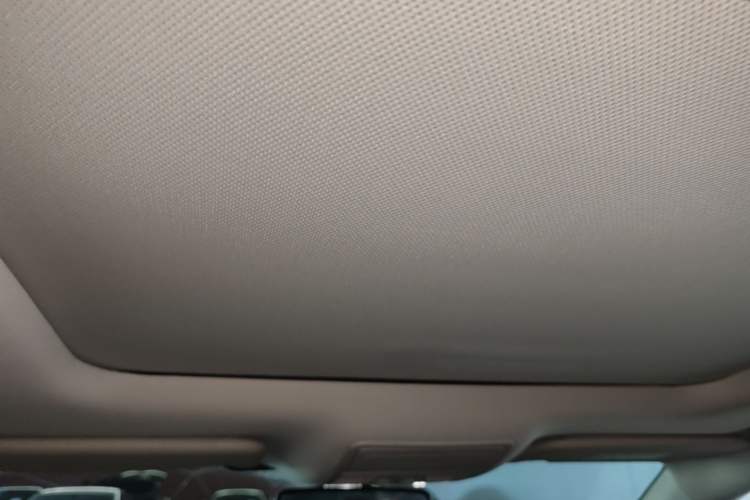 Used Ford Focus 2019 Sedan EcoBoost 125 Automatic Trendy Model China VI Standard Headliner