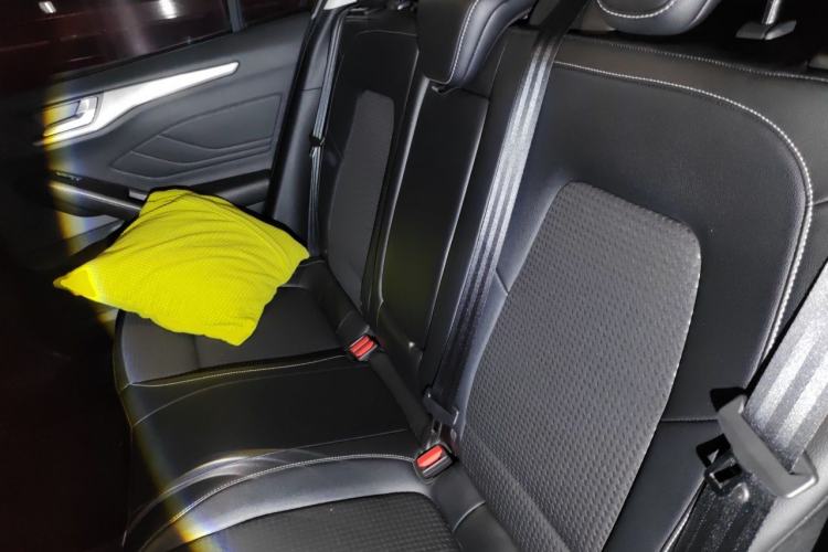 Used Ford Focus 2019 Sedan EcoBoost 180 Automatic Trend Edition Left Rear Seat
