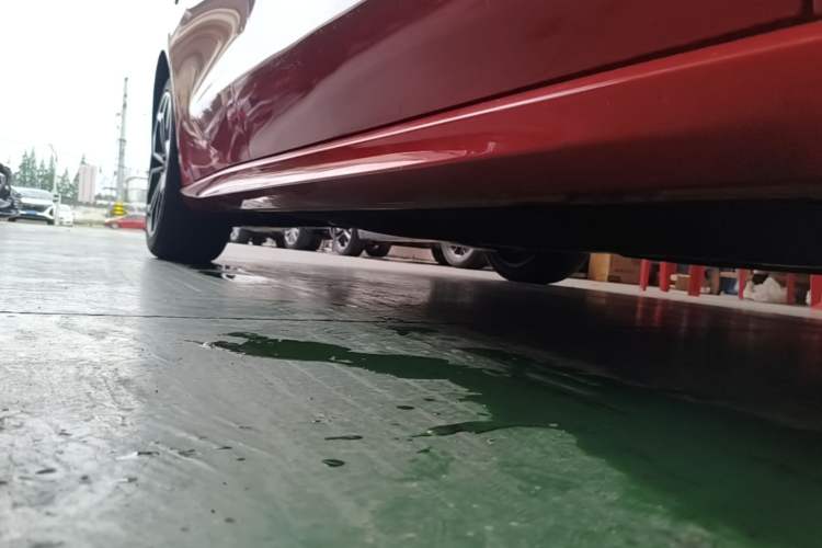 Used Ford Focus 2019 Sedan EcoBoost 180 Automatic ST Line Right Side Sill